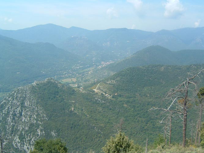 Grazian24