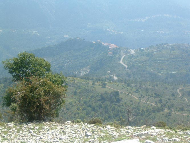 Grazian28