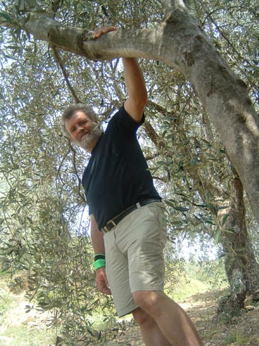 Grazian42
