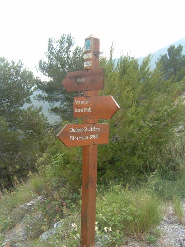 Grazian46
