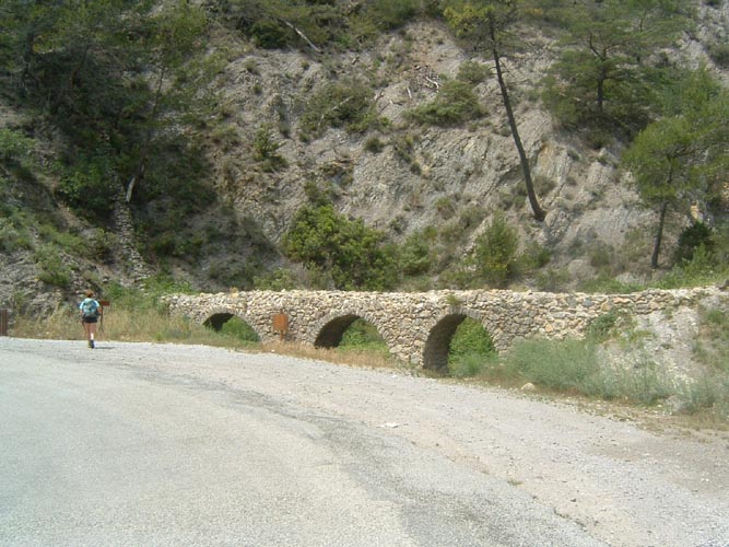 Grazian48