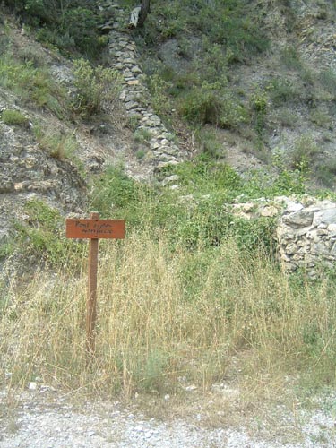 Grazian49