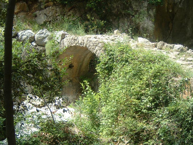 Grazian52