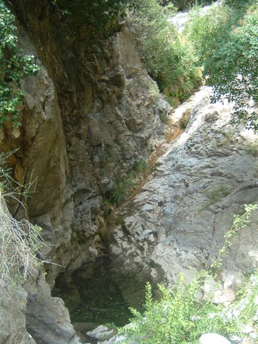 Grazian53