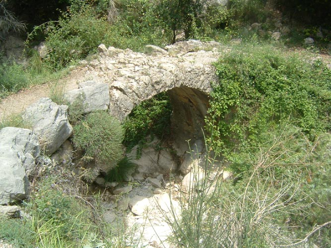Grazian54