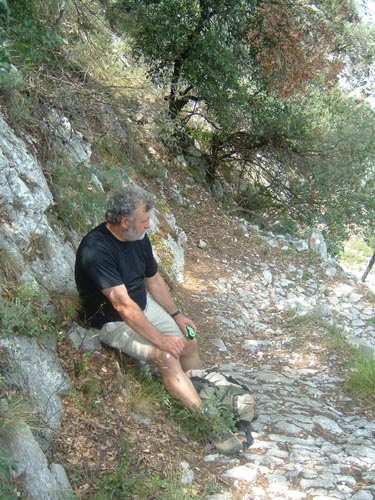 Grazian60