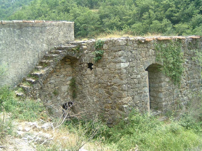 Grazian72