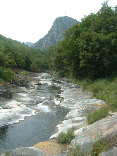 Grazian75