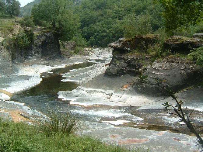 Grazian77