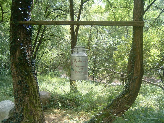 Grazian78