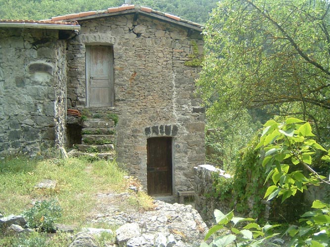 Grazian83