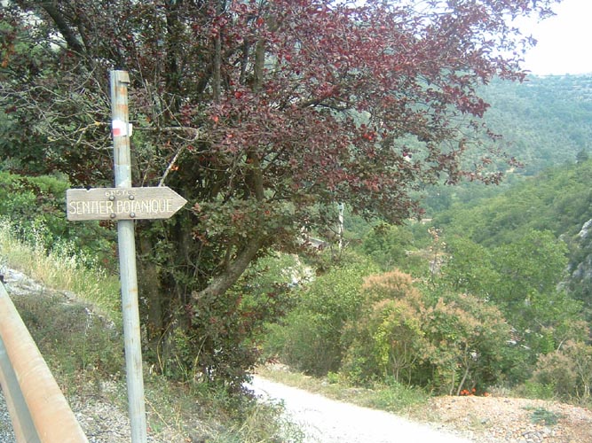 Grazian88