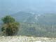 Grazian28