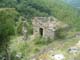 Grazian69