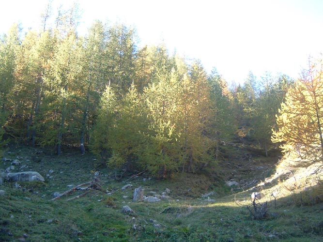La Nauque 07