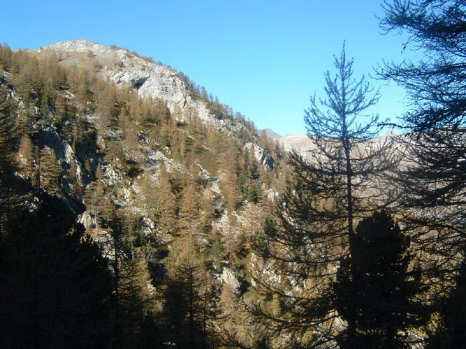 La Nauque 16