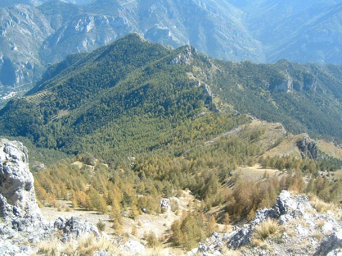 La Nauque 43