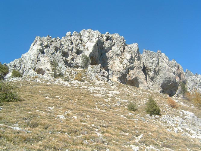 La Nauque 45