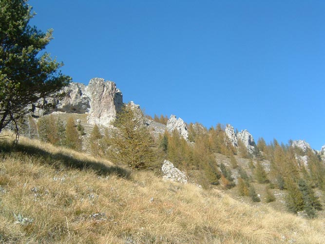 La Nauque 46