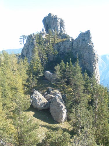 La Nauque 50