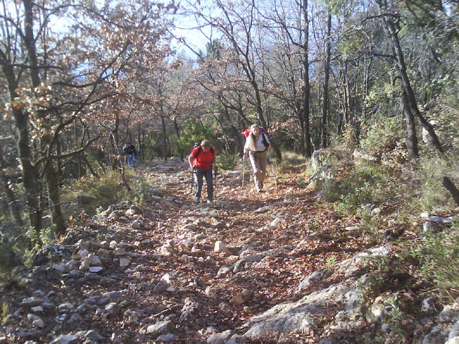 Photo01