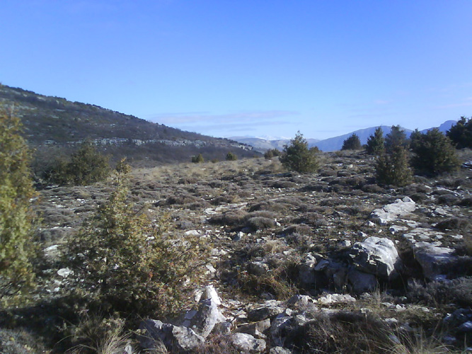 Photo05