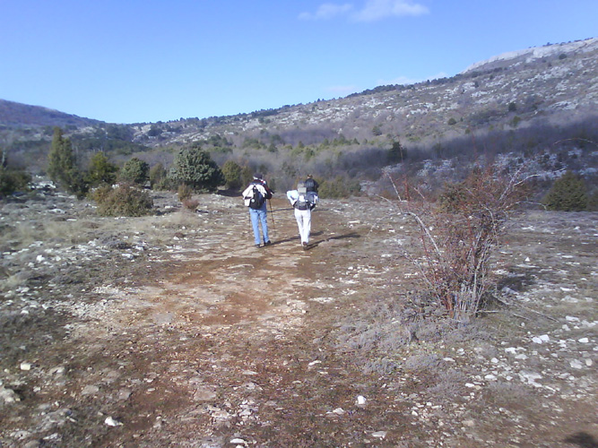 Photo06