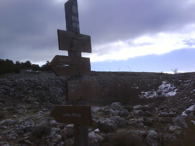Photo11
