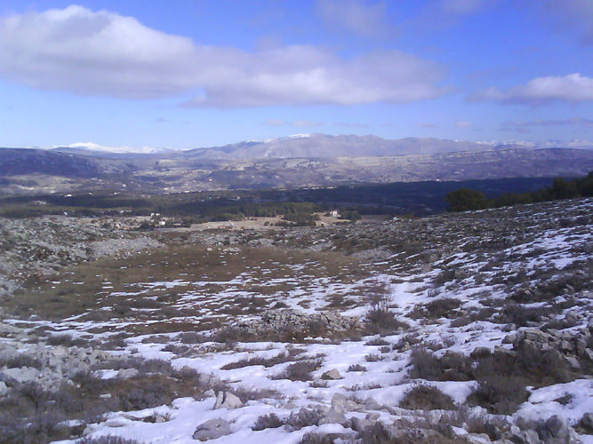 Photo15