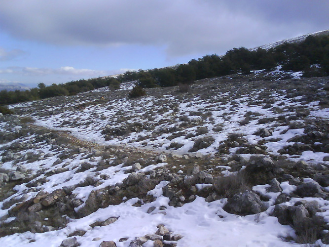 Photo17