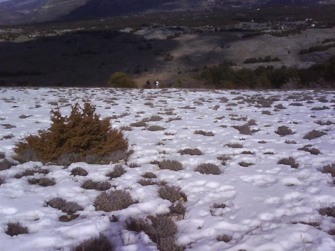 Photo18