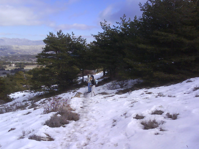 Photo19