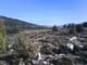Photo05