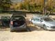 Bernard S40