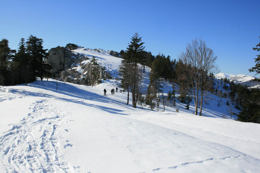 Evelyne 39
