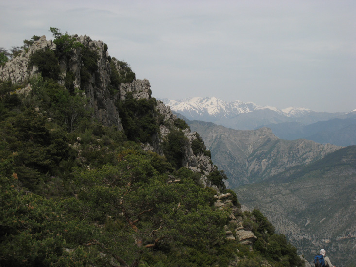 Philippe T31